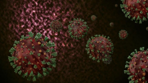 Coronavirus, in Puglia nessun nuovo positivo